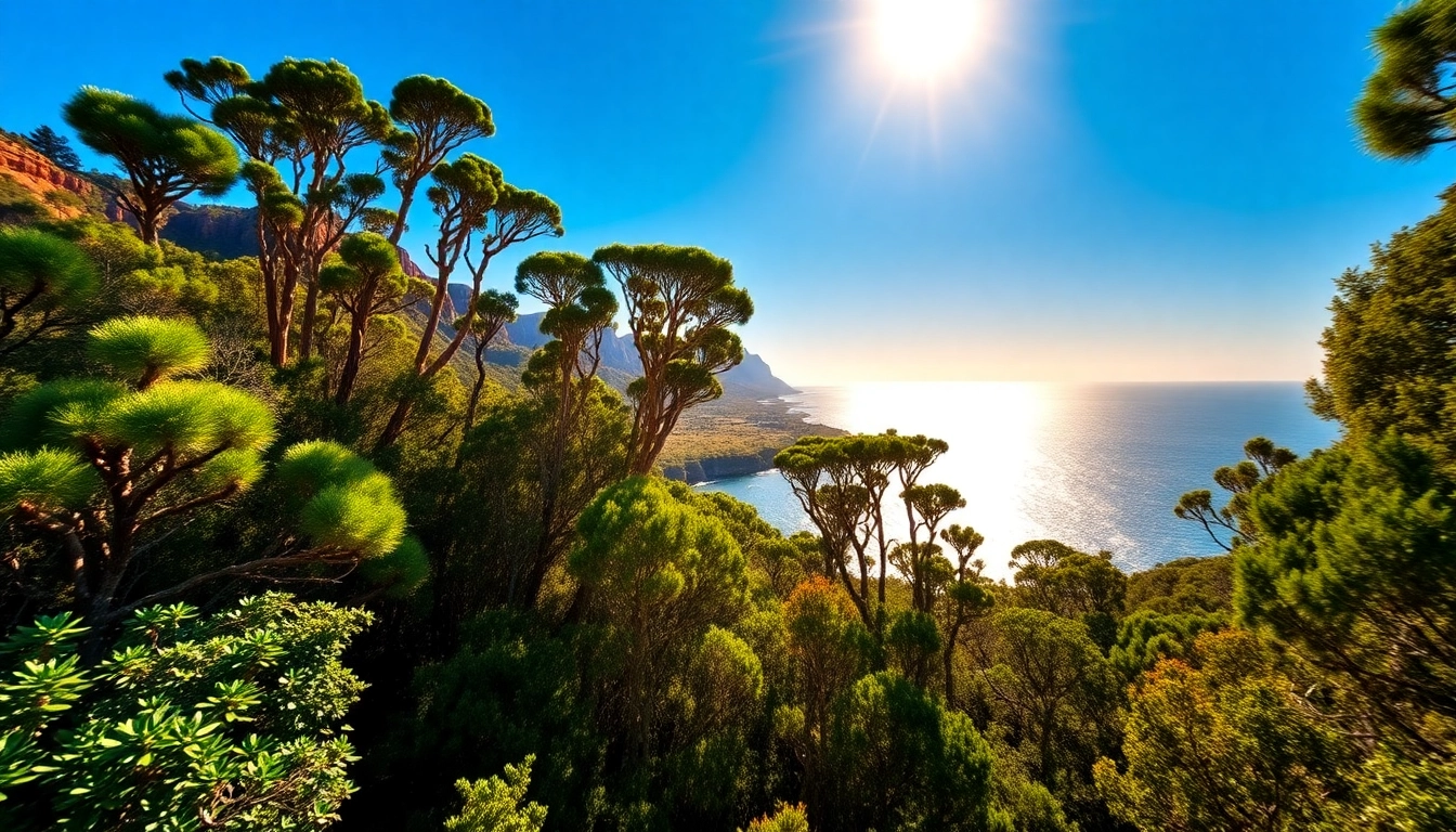 Discover the vibrant landscapes of Australia showcasing its unique ecosystems and natural beauty.